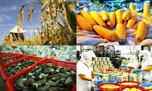 Mekong Delta raises farm produce’s competitiveness