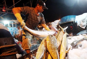 Da Nang casts wide net for fishing success