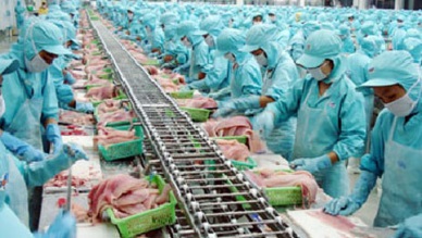 Vietnam’s Czech export surplus hits US$384 million