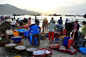 Da Nang Fish landings of 200 MT per day