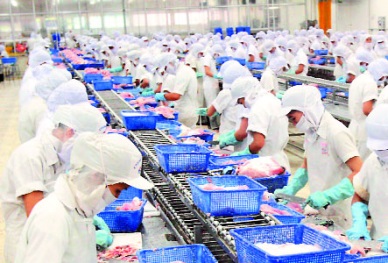 Vietnam to thrive in 2017 Russian experts