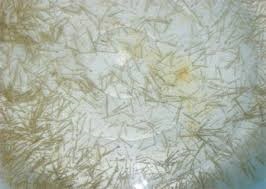 Binh Thuan promoting shrimp post brand