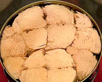 Can Ecuador’s Tuna Continue To Propel Germany’s Market