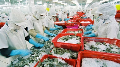 EU-Vietnam FTA challenges for agriculture, industry
