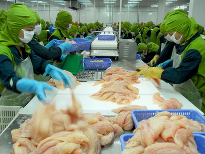 Vietnam seafood export outlook to EU is brighter