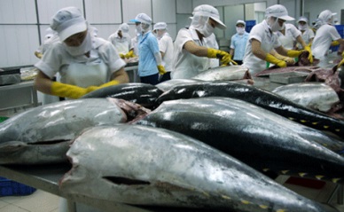 Tuna exports to EU marked upbeat growth