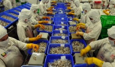 Seafood exports hit the record high