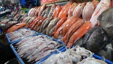 FAO world fish trade heading for new records