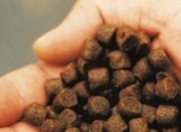 Feed experts Lack of fishmeal and oil wont slow fish feed production in 2013
