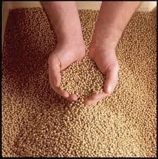 Global Aqua Feed Market is expected to reach USD 122.60 billion in 2019 Transparency Market Research