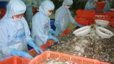 Fimex VN Sales reached 121.8 million USD