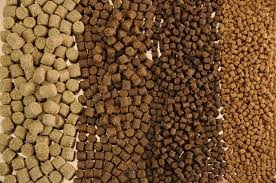 Hung Vuong Corp Completed public offer 4 million of VTF shares 