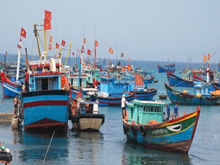 Quang Nam More fishing unions to boost deep sea catch