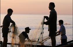 Is EU ‘ Carding Forcing Vietnam to Address Illegal Fishing