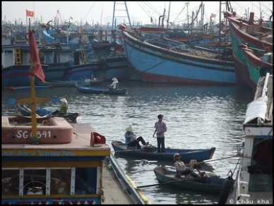 Da Nang to boost distant fishing activities