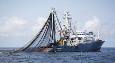 Vietnam joins ASEAN effort to combat IUU fishing