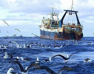 EU issues ban against IUU nations