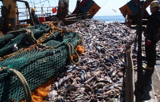 NFI sues NOAA over new IUU rule