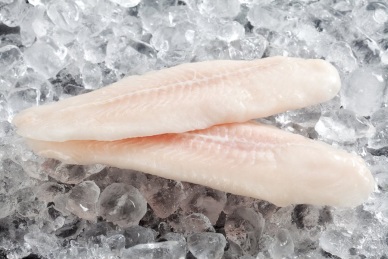 95% of pangasius exported to Germany are frozen fillets