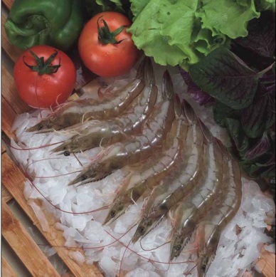 Khanh Hoa increases whiteleg shrimp farming in 2014 