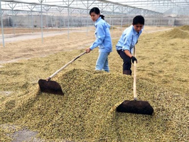 Vietnam-EU FTA Opportunities and challenges