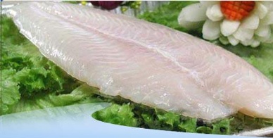 Gepimex 404’s 23 MT of pangasius export to Germany