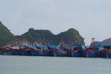 Press Release Vietnamese fisheries enterprises are consistently committed to combating IUU fishing