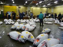 Spain 60,000 tonnes of tuna need to be imported 