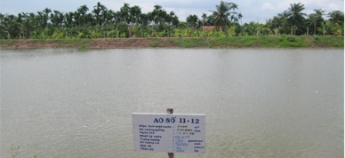 GODACO’s closed pangasius production chain