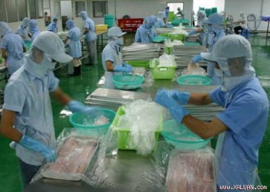A draft on revised tax management law hinders fish import