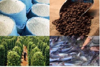 Mekong delta looks to green economy