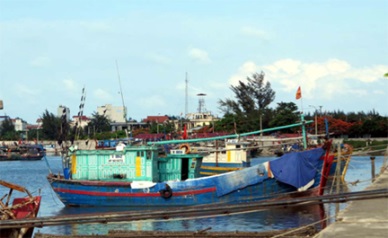 Hai Phong Fish production up 7.13 percent in Jan-May 2014