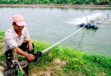 Hanoi to invest in infrastructure for aquaculture