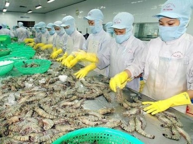 VASEP makes effort to ease hardship for seafood enterprises