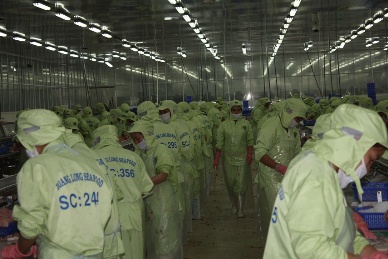 Hoang Long Group’s targets VND2,264 billion of turnover in 2013