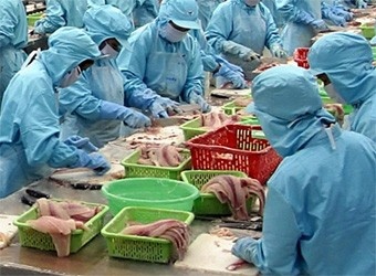 South Korea to inspect fish farms and processing plants in Vietnam