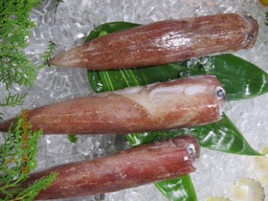 2012 Cephalopod imports into the U.S. up but bivalve mollusk down 