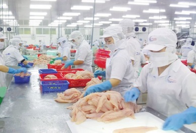 Provinces in the Mekong Delta speed up export of seafood