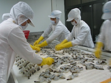 Recovery in Viet Nams Seafood Exports