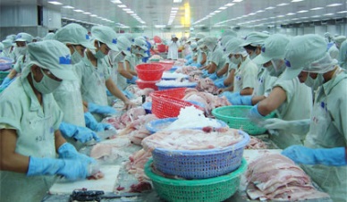 Vietnam pangasius sales to UAE inched up 130.7%