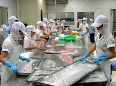 Vietnam raised exporting freshfrozen tuna