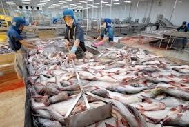 30% of VietGAP certified aquaculture farms  in 2015 