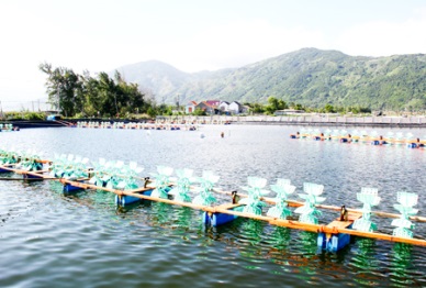 Van Ninh to reach 200 hectares in the aquaculture area by 2020