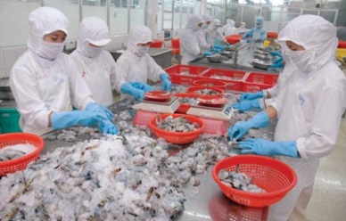 Vietnam - Australias largest supplier of processed shrimp