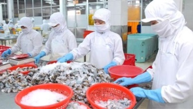 Vietnam shrimp exports to Japan to go up this year