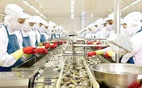 Rise in Vietnam shrimp sales to Netherlands 