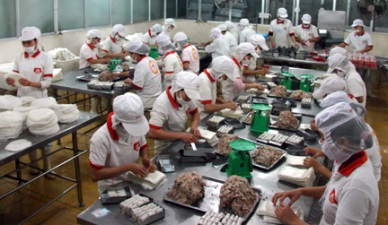 Hai Phong reports higher seafood production