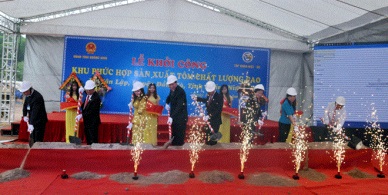 Quang Ninh builds high-quality shrimp breeding complex