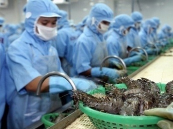 QI2016 Export upswing for Vietnamese shrimp