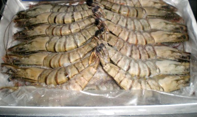 Seafood imports by Vietnam, Jan – Feb 2013